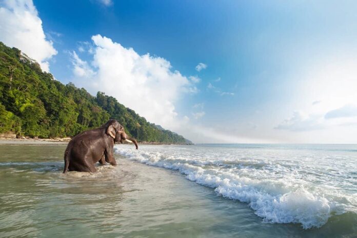 Best Places To Visit in Andaman & Nicobar Island